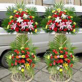 ƽʻԤ